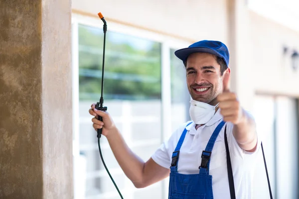 Channelview Wasp Removal