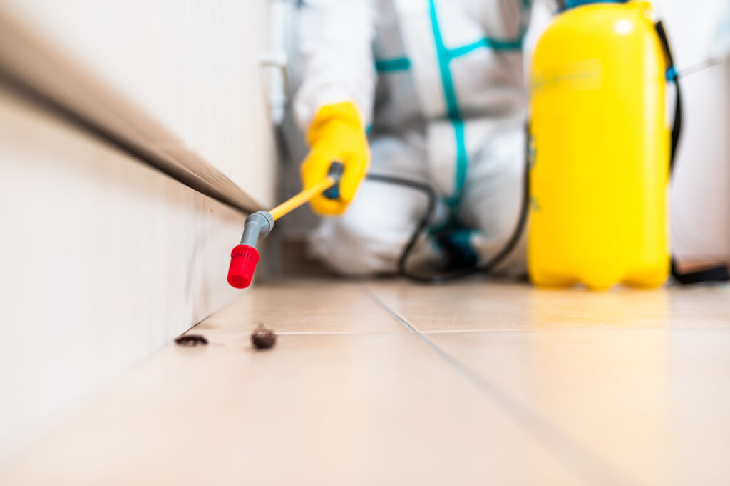 Channelview Cockroach Experts