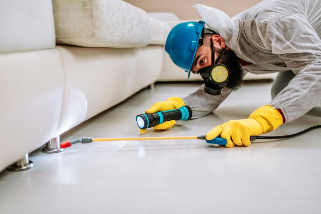 Channelview Termite Control