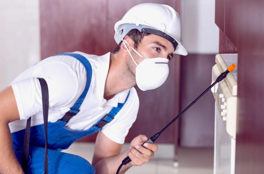 Channelview local pest services