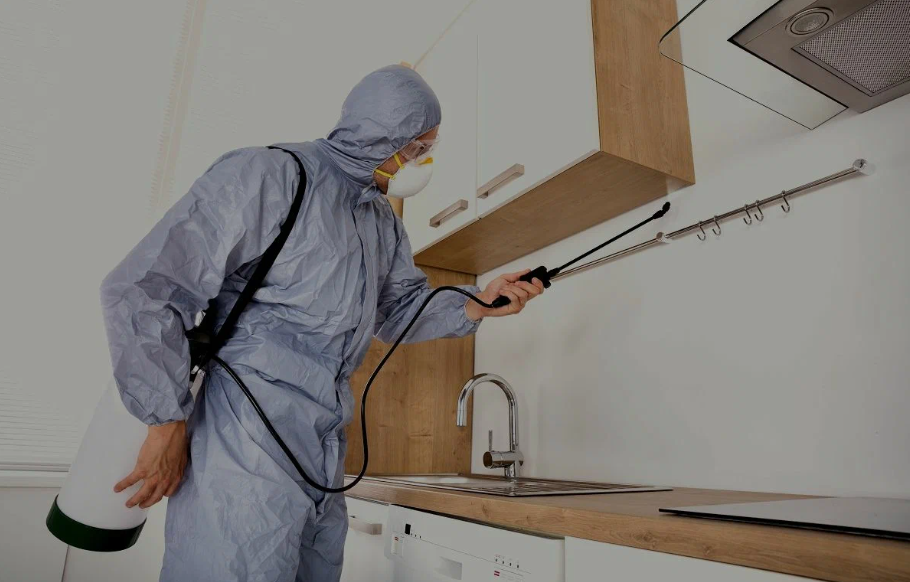 Channelview pest managment